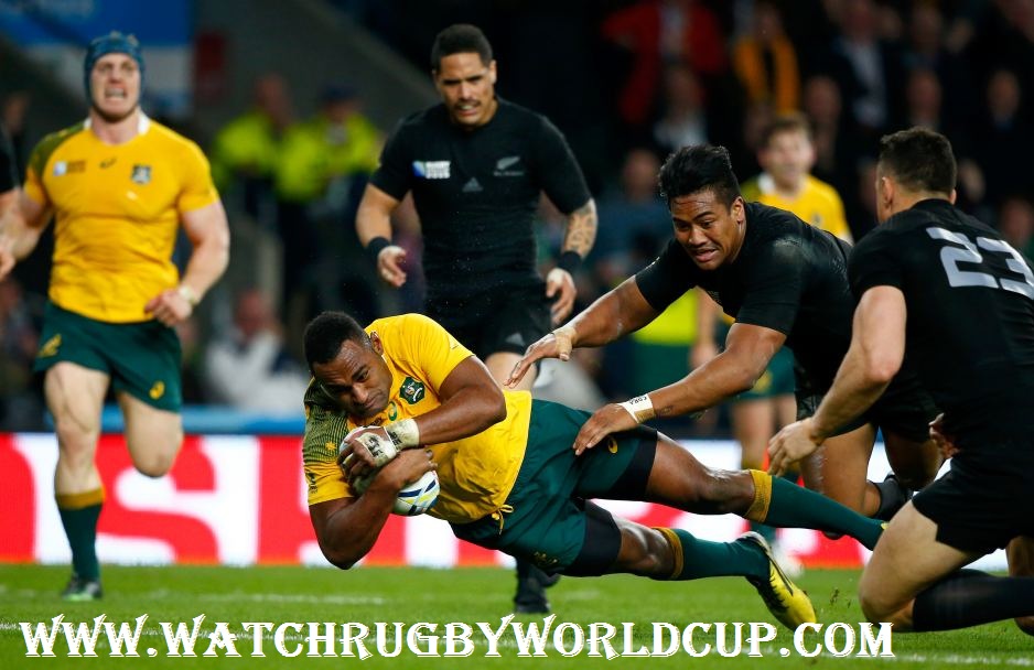 south-africa-vs-argentina-rugby-wc-third-place-playoff-live